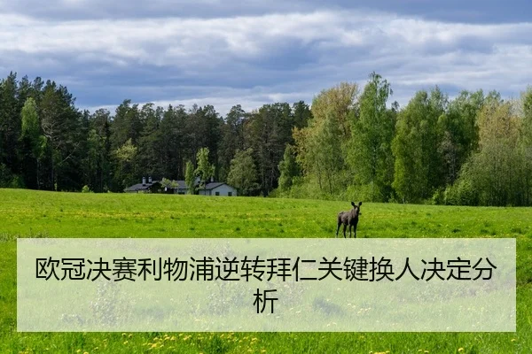 ou-guan-jue-sai-li-wu-pu-ni-zhuan-bai-ren-guan-jian-huan-ren-jue-ding-fen-xi-2-209.jpg